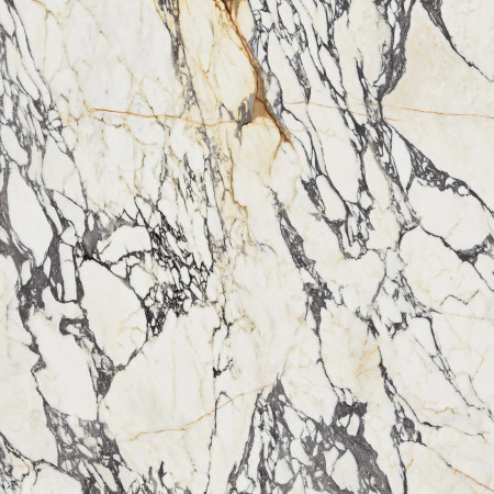 Flaviker Supreme Treas. Corchia Gold Nat R 120X120