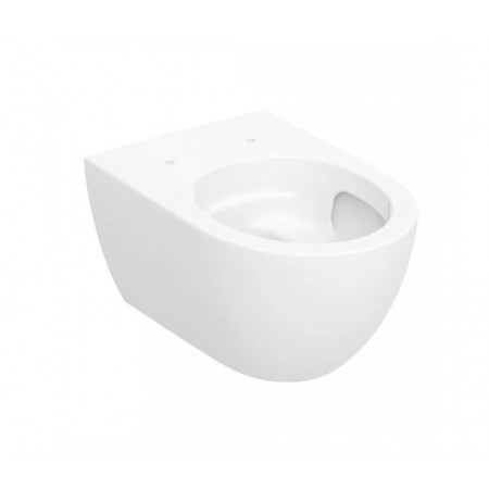 Geberit Acanto Wisząca miska WC, lejowa, B35.5cm, H33.5cm, T53cm, ukryte mocowanie, z techniką spłukiwania TurboFlush