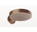 Wall-mounted anti limestone and adjustable head shower Copper Brushed PVD