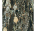 Rex Les Bijoux de Rex Les Quatre Saisons 60x120- Płytka gresowa podstawowa nieszkliwiona rektyfikowana - 833040_O1