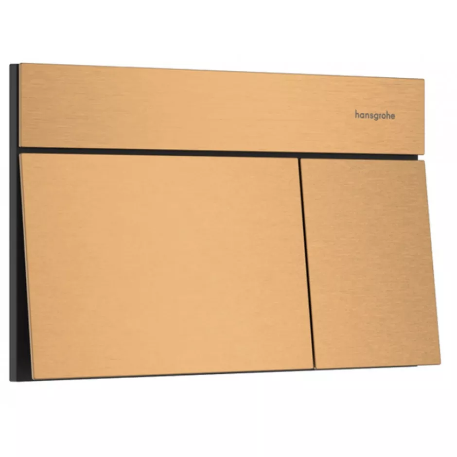 Hansgrohe iFrame Element E Przycisk spłukujący Brąz Szczotkowany